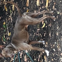 D d8ae0479 638e 4972 b8d2 51f0c987826e