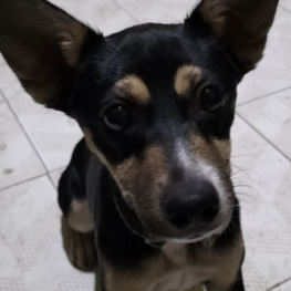 D 6b5c429f 258a 436f 8804 710a24c9f98d