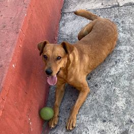 D f52a082b e752 4546 99cc 3d8b16f3ea0b