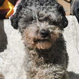 D b3113a75 1acf 4714 95ed 5bf2fc03e8b8