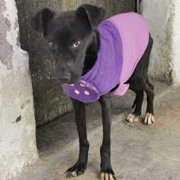 D ab208c79 f214 4038 a6d0 29f76b123c33