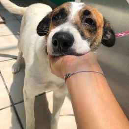 D 109e2dc7 7ac4 430b b709 5b62da2f8479