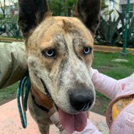 D 448779bc 34fc 4705 8983 216a3531a226