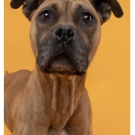 D 3a655257 cdb1 4b8e 8efe 4ddcb144de19