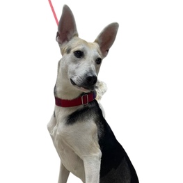 D 7be39ddc 4f94 45c6 ab77 ea74595ec080