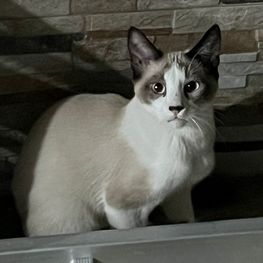 D b64b966d ff37 41cb 859f 2bdfed376932