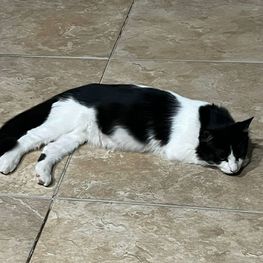 D 89606423 c715 4ef6 9318 93f8441c2d0e