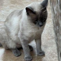 D 513fa1b8 cbf0 42da 9c81 dc589fa16166