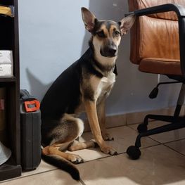 D 7dd133aa fee5 4753 b4fa fdb332b711b3