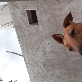 D b0938fda ea86 41dc 96d7 be46c1d403d7