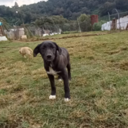 D 44566049 56ff 45c1 818d d4b69452a77a