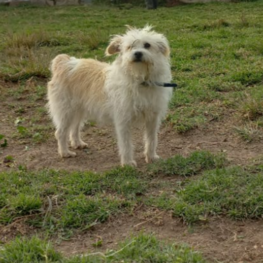 D 170d79dc 4318 4225 96ce 841a4c574fab