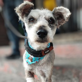 D 7586af27 8e7a 4577 9a28 bfd9a04c4c75