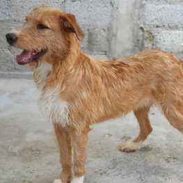 D 0f4b3ca0 a583 4ad4 a315 a92639c87875