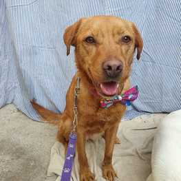 D 64194ed5 b845 4824 8782 66634b886e37