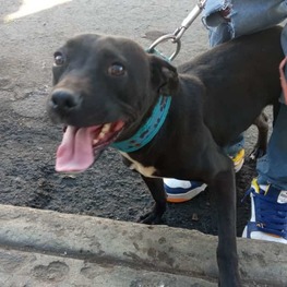 D ffdc0fe6 c196 469a b09e 5e2bb08c5a04