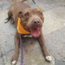 D e756940f f9a2 4c00 a6ff 2d7fb8346985