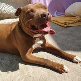 D cb4599d1 5877 4afd bb1e 34eed400f899