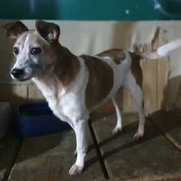 D 8802f1b7 a03e 47c0 b6fc 39fe96c48681