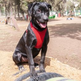 D 534fdb3b ce65 4598 a3b1 2ac9c126ff6f