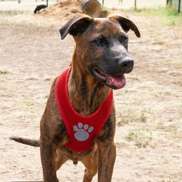 D 136882c7 0611 4d2b bd35 d7882f08a6e0