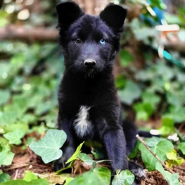 D ce7b1143 c79a 4acd 81db 71aa03c18ebb