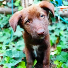 D fc53fe56 16fd 456d 8774 541cee1a98f8