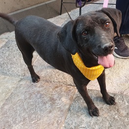 D 4948f6ab 4eed 4f05 9a43 129cd94b4324