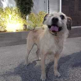 D 6992698e db5e 4b5c b408 d2c50dad610b