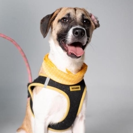 D 0517d389 0b9c 4234 8abe d56ce9dfc14e