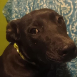 D b1bb25ff 96e3 48f7 ad61 5c83647c6684