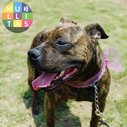 D 44ccdeed 3e24 40b8 8d8a 489c157c9622