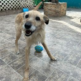 D 9de0c7f6 cf1e 4074 a21b ed711c5cd11a