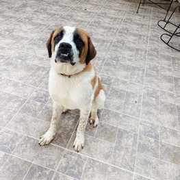 D 03f9e359 c044 4db3 ae5a 85c4fb521936