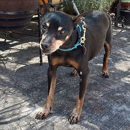 D eb047049 049f 407d 94ae 377a2165c6cf