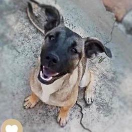 D 41a48a35 ae83 486c b154 05290d295f2c