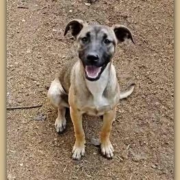 D 50916ef6 e3fa 448e 9329 b9ccbe521658