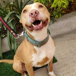 D 92e0cb98 3ef9 4305 83c5 31ff8c6fd946