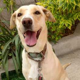 D 47a91d84 0bea 4834 808e 054b62d28473