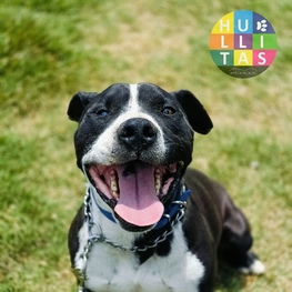 D eebe986a 5f0e 4cfb aaec 8f587bdbf17a