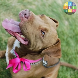 D bd62afa7 d25a 4e87 953e f98646520f96