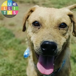 D 6ebe4bb7 cdf9 4100 ace7 16c25b1b384a