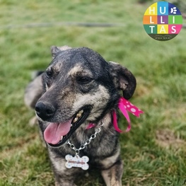 D 60cb08aa 81aa 4cfc ad08 c3667df73cec