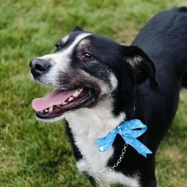 D 2d8a6ecd 144d 4f3d b308 896deaedb6a0