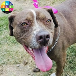 D dde6b25c 0094 434e 9846 7e39cec1d4c2