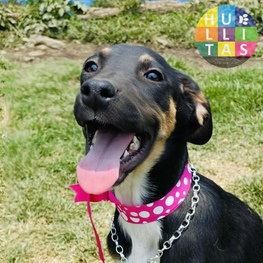 D bcf87b31 6d80 45d2 88d5 f572b60e0b3f