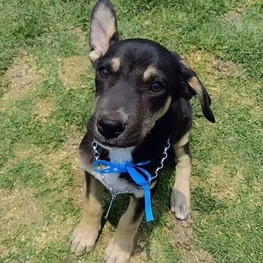 D 30794069 c03b 40f0 a275 bc1b78ea9774