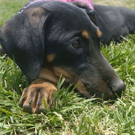 D dfb7b592 60fb 48cb a2c2 1b87e4dbbcee