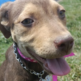 D 77ef5d11 dad5 487a b31b 23df5dc05835