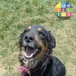 D 2d57d8e9 e60c 448e a16b 419f23c6ce1e